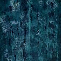 raindrops swamp